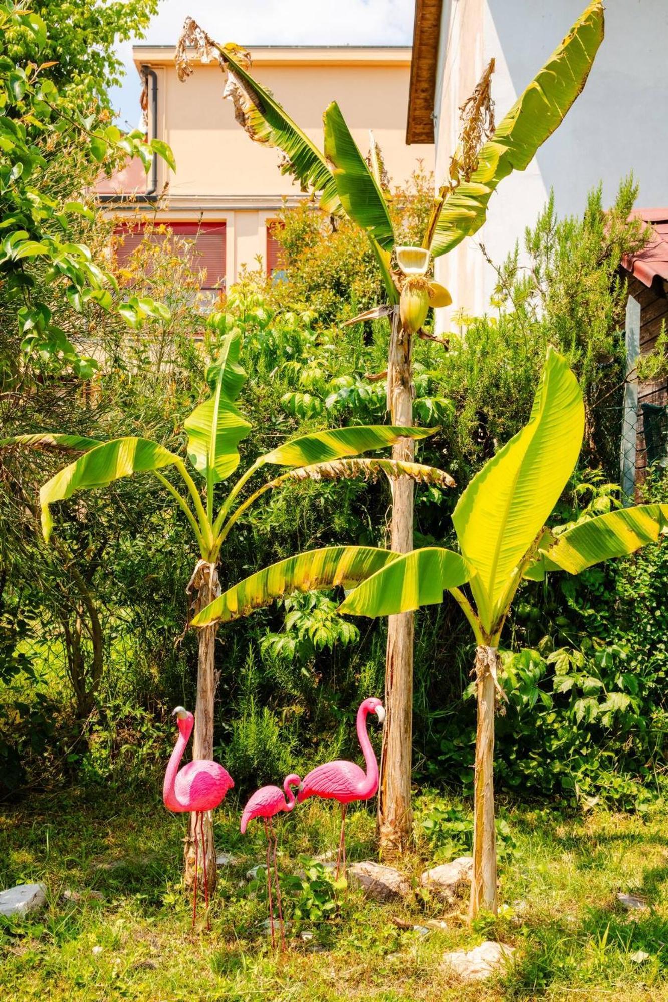 Garden Loft Bed & Breakfast Baricella ภายนอก รูปภาพ